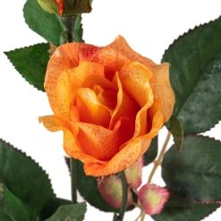 Wholesale 😍 Rose Spray by Ashland® ✔️ -Ashlandty Shop 10450090 20