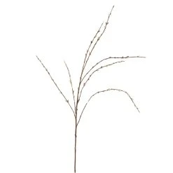 Flash Sale π Pussy Willow Stem by Ashland® π 9 Flash Sale π Pussy Willow Stem by Ashland® π -Ashlandty Shop 10450208