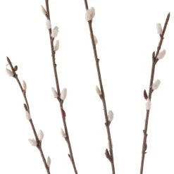 Flash Sale π Pussy Willow Stem by Ashland® π 8 Flash Sale π Pussy Willow Stem by Ashland® π -Ashlandty Shop 10450208 20