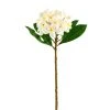Coupon ❤️ White Frangipani Stem by Ashland® 👍 2 Coupon ❤️ White Frangipani Stem by Ashland® 👍 -Ashlandty Shop 10450428 1