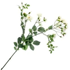 Best deal 🔔 Cream Kate Rose Stem by Ashland® 👍 -Ashlandty Shop 10451129 1