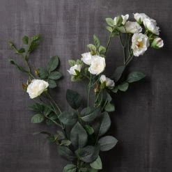 Best deal 🔔 Cream Kate Rose Stem by Ashland® 👍 -Ashlandty Shop 10451129 22