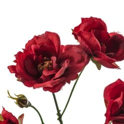 Best deal 💯 Kate Rose Spray by Ashland® ⭐ -Ashlandty Shop 10451131 20