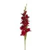 Hot Sale ✔️ 12 Pack: Burgundy Gladiolus Stem by Ashland® ✨ -Ashlandty Shop 10451146 1