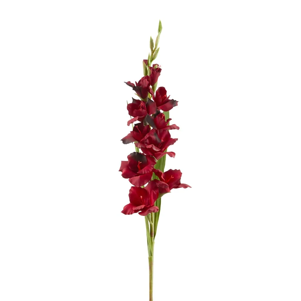 Hot Sale ✔️ 12 Pack: Burgundy Gladiolus Stem by Ashland® ✨ 3 Hot Sale ✔️ 12 Pack: Burgundy Gladiolus Stem by Ashland® ✨