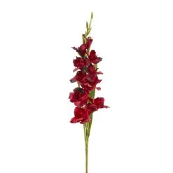 Cheapest 🔔 Gladiolus Stem by Ashland® ✨ -Ashlandty Shop 10451146