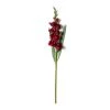 Cheapest 🔔 Gladiolus Stem by Ashland® ✨ -Ashlandty Shop 10451146 21