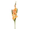 New ⌛ 12 Pack: Salmon Gladiolus Stem by Ashland® ✨ -Ashlandty Shop 10451152