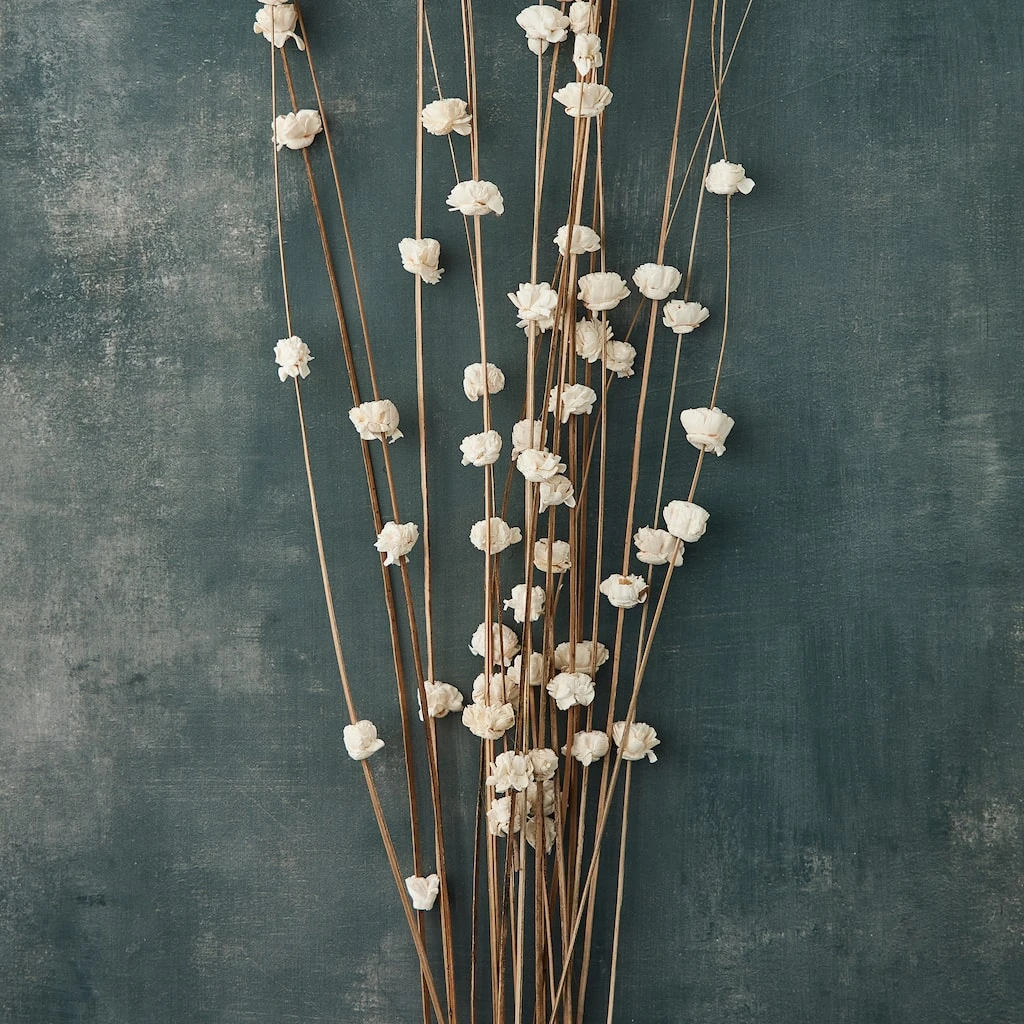 New 𧨠Natural Ting Bunches with Sola Flowers by Ashland π 4 New 𧨠Natural Ting Bunches with Sola Flowers by Ashland π - Image 2