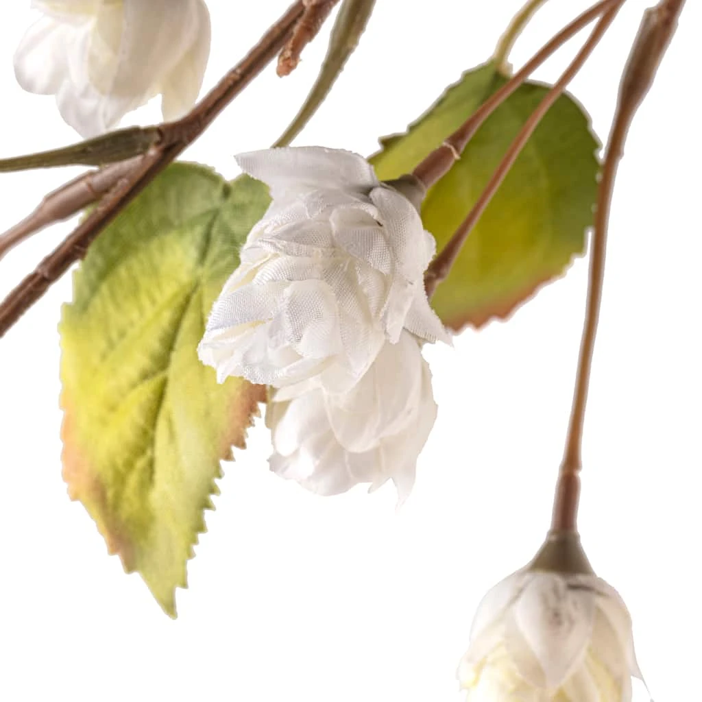 Best reviews of π Cream Hops Spray by Ashland® π₯ 4 Best reviews of π Cream Hops Spray by Ashland® π₯ - Image 2