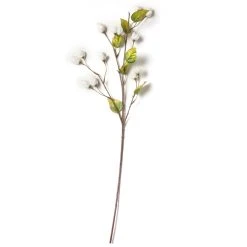 Best reviews of π Cream Hops Spray by Ashland® π₯ 9 Best reviews of π Cream Hops Spray by Ashland® π₯ -Ashlandty Shop 10461196 21