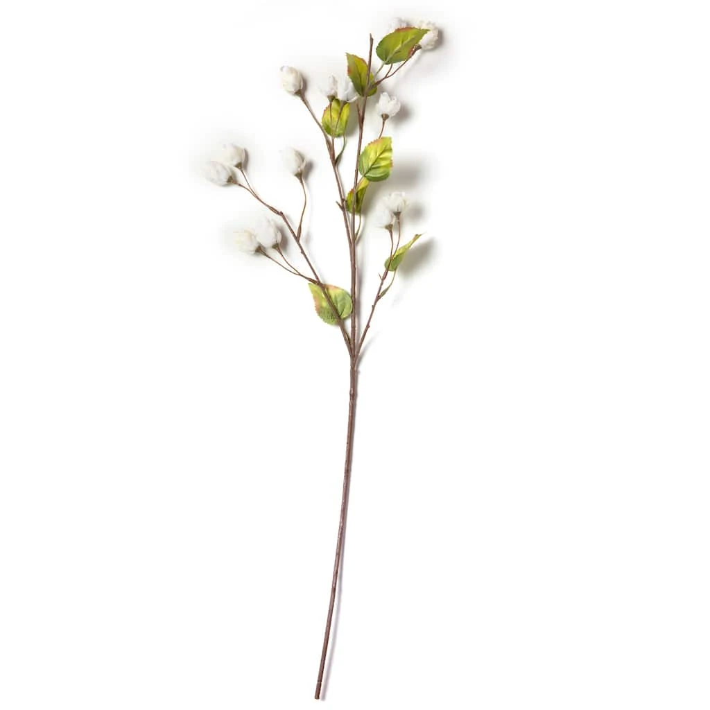 Best reviews of π Cream Hops Spray by Ashland® π₯ 6 Best reviews of π Cream Hops Spray by Ashland® π₯ - Image 4