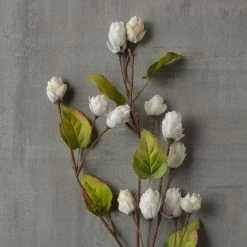 Best reviews of π Cream Hops Spray by Ashland® π₯ 8 Best reviews of π Cream Hops Spray by Ashland® π₯ -Ashlandty Shop 10461196 25