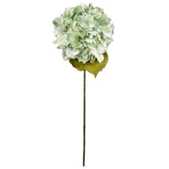 Top 10 ✨ Sea Foam Green Hydrangea Stem By Ashland® 😍 -Ashlandty Shop 10461200