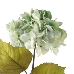 Top 10 ✨ Sea Foam Green Hydrangea Stem By Ashland® 😍 -Ashlandty Shop 10461200 20