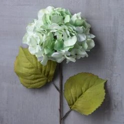 Top 10 ✨ Sea Foam Green Hydrangea Stem By Ashland® 😍 -Ashlandty Shop 10461200 22