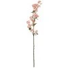 Top 10 🎁 Pink & White Apple Blossom Stem by Ashland® ⌛ -Ashlandty Shop 10461600