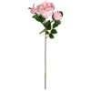 Flash Sale ❤️ 12 Pack: Light Pink English Rose Stem by Ashland® 🛒 -Ashlandty Shop 10461605 1