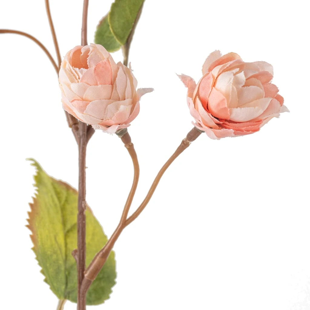 New β€οΈ Blush Hops Stem by Ashland® π 5 New β€οΈ Blush Hops Stem by Ashland® π - Image 3