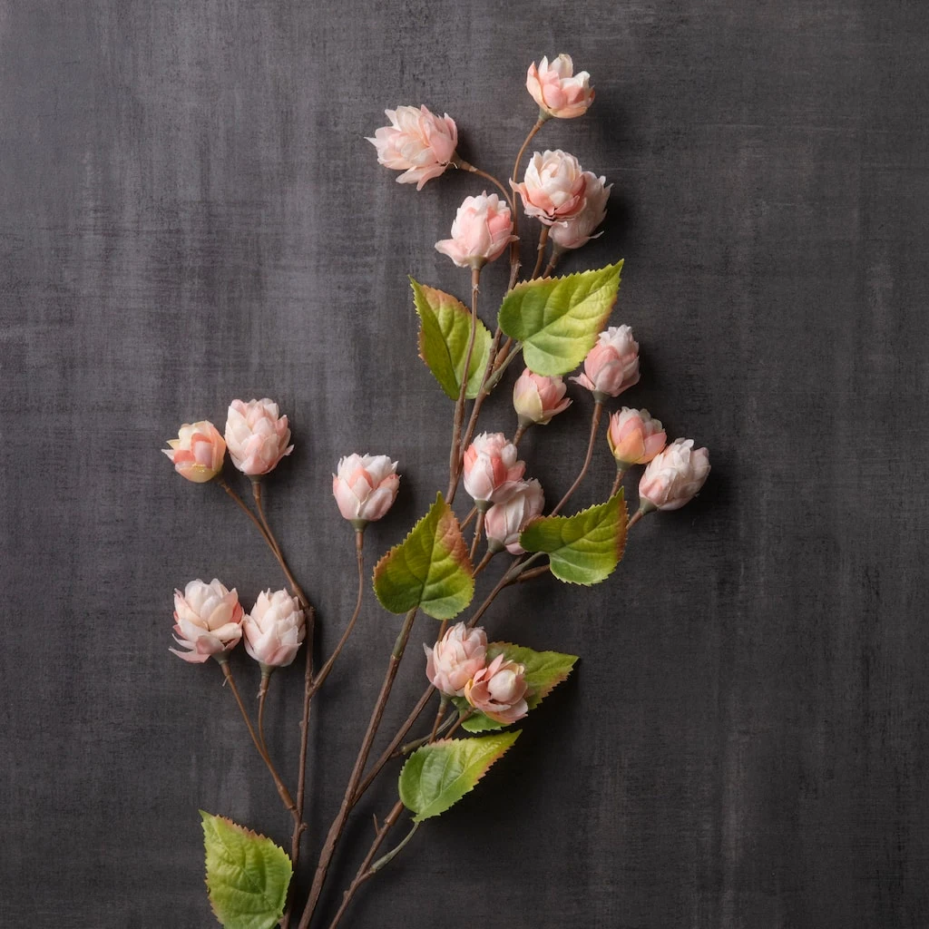 New β€οΈ Blush Hops Stem by Ashland® π 4 New β€οΈ Blush Hops Stem by Ashland® π - Image 2