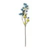 Best Pirce ⭐ Navy Hops Stem by Ashland® 🔔 -Ashlandty Shop 10461615 21