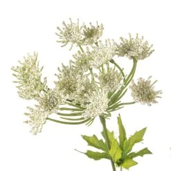 Discount 🥰 White Queen Anne's Lace Spray by Ashland® ✨ -Ashlandty Shop 10461649 20