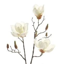 Cheapest 😍 White Magnolia Branch Stem by Ashland® ⭐ -Ashlandty Shop 10468846 2