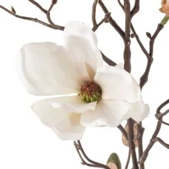 Cheapest 😍 White Magnolia Branch Stem by Ashland® ⭐ -Ashlandty Shop 10468846 20