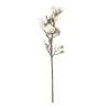 Cheapest 😍 White Magnolia Branch Stem by Ashland® ⭐ -Ashlandty Shop 10468846 21