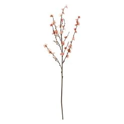 Cheap 🛒 12 Pack: Coral Peach Blossom Spray by Ashland® ✨