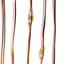 Best Pirce 👏 12 Pack: 40ct. Warm White Copper Wire LED String Lights by Ashland® ❤️ -Ashlandty Shop 10473563 3 1