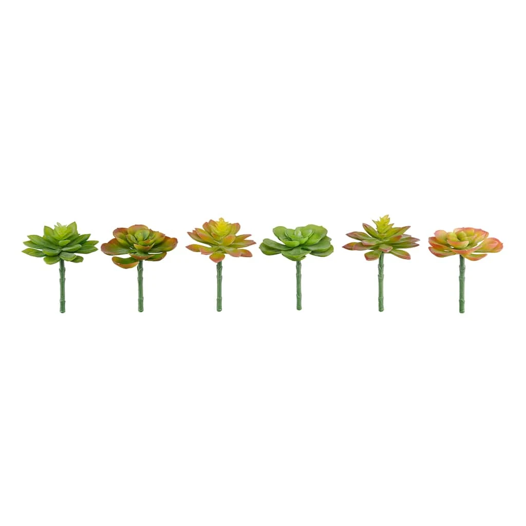 Discount π 12 Pack: Assorted Snap-On Succulent Pick by Ashland® π€© 3 Discount π 12 Pack: Assorted Snap-On Succulent Pick by Ashland® π€©