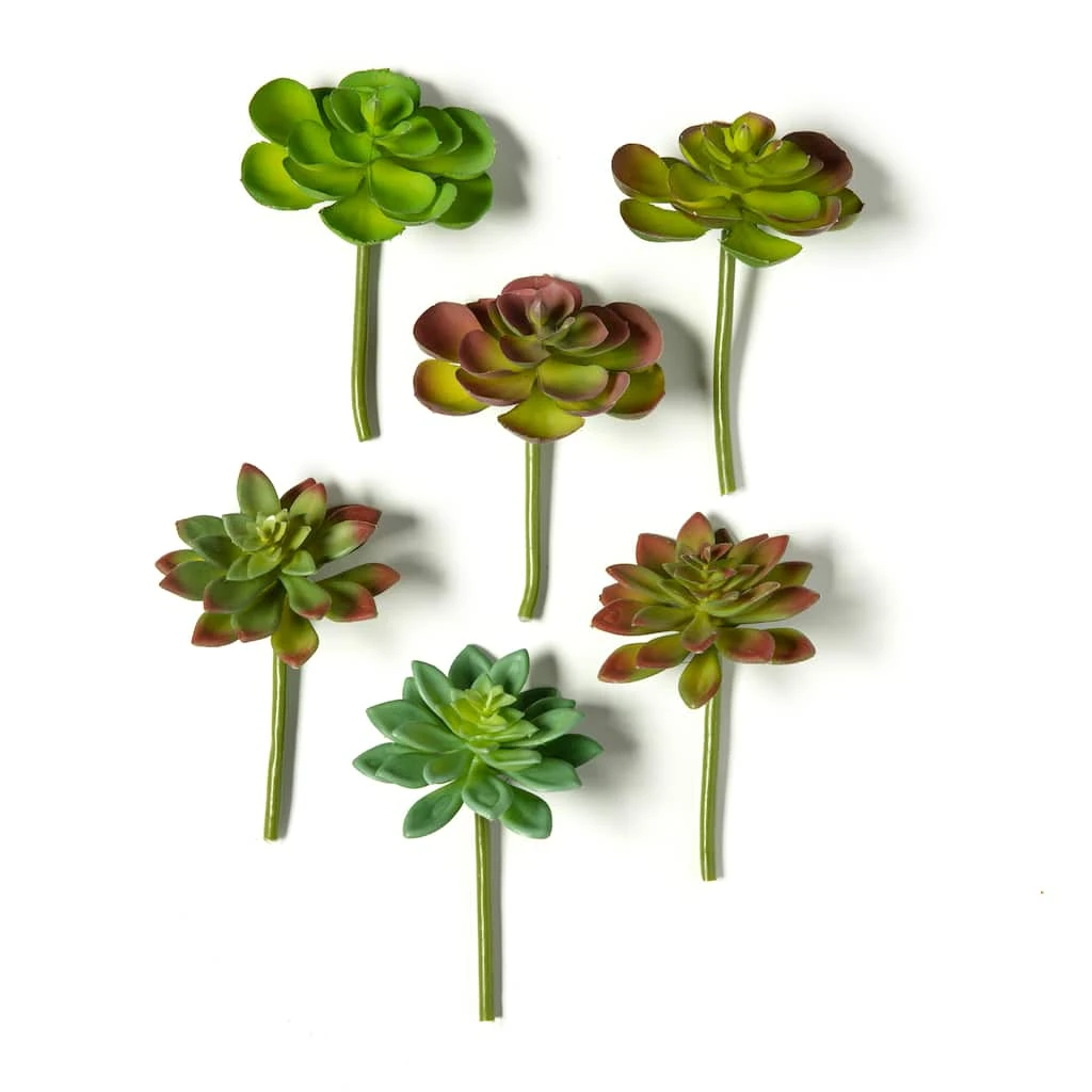 Wholesale π Assorted Snap-On Succulent Pick By Ashland® π₯° 3 Wholesale π Assorted Snap-On Succulent Pick By Ashland® π₯°