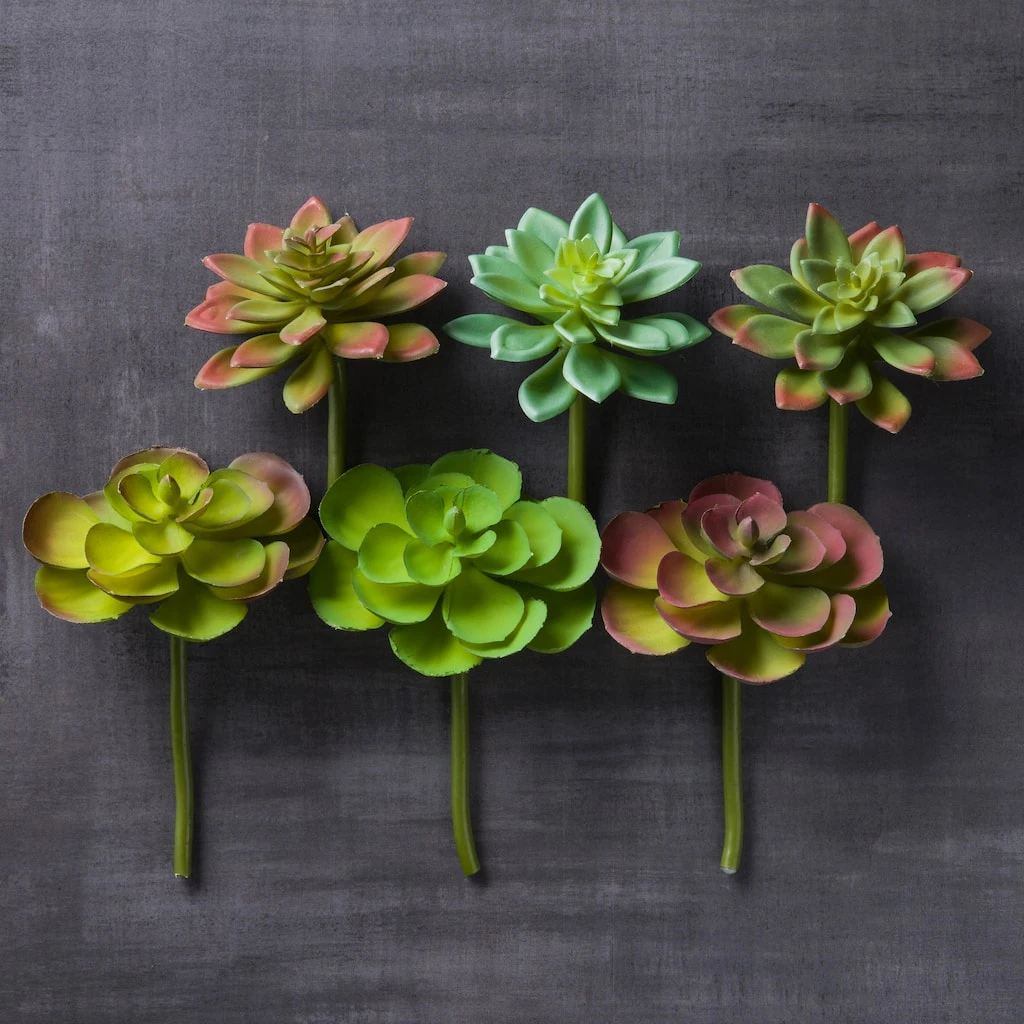 Wholesale π Assorted Snap-On Succulent Pick By Ashland® π₯° 4 Wholesale π Assorted Snap-On Succulent Pick By Ashland® π₯° - Image 2