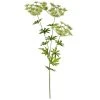 New 👏 12 Pack: Light Green Queen Anne's Lace Spray by Ashland® 🔔 2 New 👏 12 Pack: Light Green Queen Anne's Lace Spray by Ashland® 🔔 -Ashlandty Shop 10501462