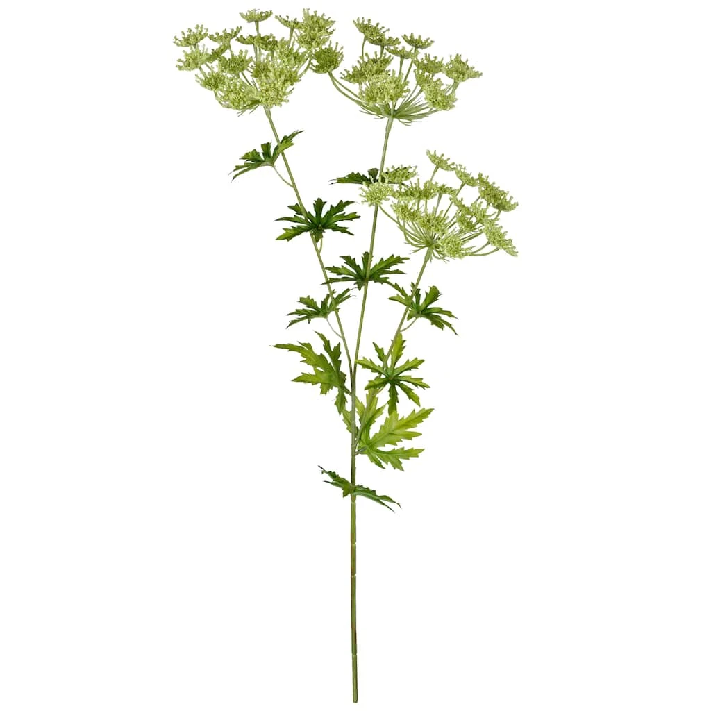 New π 12 Pack: Light Green Queen Anne's Lace Spray by Ashland® π 3 New π 12 Pack: Light Green Queen Anne's Lace Spray by Ashland® π