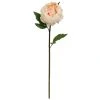 Cheap ⭐ King Peony Stem By Ashland® ❤️ -Ashlandty Shop 10501484