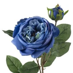 Coupon ✔️ Blue English Rose Stem by Ashland® 🛒 -Ashlandty Shop 10501503 20
