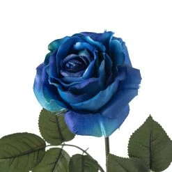 Coupon 🎁 Navy Rose Stem by Ashland® 🎉 -Ashlandty Shop 10501505 20