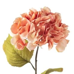 Best Sale ✨ Coral Two-Toned Hydrangea Stem by Ashland® 🎁 -Ashlandty Shop 10501508 20
