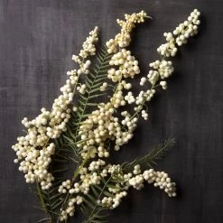 Wholesale ✨ Cream Hanging Berry Stem by Ashland® ❤️ -Ashlandty Shop 10501512 22