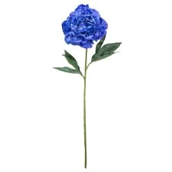 New ⌛ Peony Stem by Ashland® 🎉