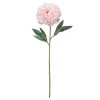 Promo 🔔 12 Pack: Light Pink Peony Stem by Ashland® 🛒 -Ashlandty Shop 10501951