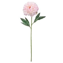 Promo 🔔 12 Pack: Light Pink Peony Stem by Ashland® 🛒