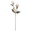 Brand new ⌛ Coral Magnolia Stem by Ashland® ⌛ -Ashlandty Shop 10501954