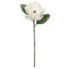 Cheapest 🥰 White Magnolia Stem by Ashland® 🔔 -Ashlandty Shop 10501956