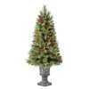 Discount 🤩 4ft. Pre-Lit Verona Artificial Christmas Tree, Clear Lights by Ashland® ❤️