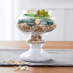 Flash Sale 🔥 Natural Crushed Shells By Ashland™ ✨ -Ashlandty Shop 10523487 20