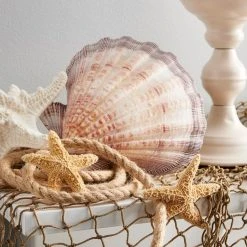 Wholesale 🌟 7mm Rope Spool By Ashland™ 🧨 -Ashlandty Shop 10525507 20