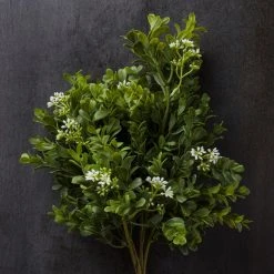 Coupon 🎁 Boxwood & Berry Bush by Ashland® 👏 -Ashlandty Shop 10546917 22